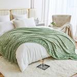 Sage Green Soft Fleece Throw Blanket 50"x60