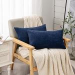 Decorative Lumbar Support Pillow Covers Set of 2