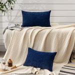 Decorative Lumbar Support Pillow Covers Set of 2