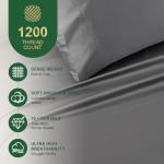 Ivellow 100% Egyptian Cotton Queen Sheet Set