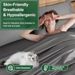 Ivellow 100% Egyptian Cotton Queen Sheet Set