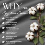 Ivellow 100% Egyptian Cotton Queen Sheet Set