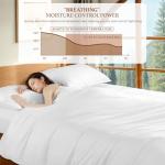 Queen Luxury Egyptian Cotton Duvet Cover Set