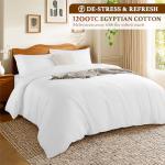 Queen Luxury Egyptian Cotton Duvet Cover Set