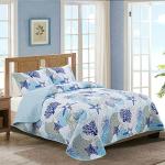 Dinjoy Coastal Twin Quilt Set – Beach Theme
