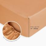 Floral Bedding Set for Girls - Twin Size