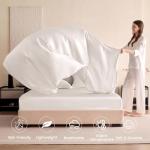 Luxury 100% Mulberry Silk Bed Set - King