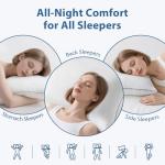 JOLLYVOGUE Set of 2 Pillows for Cozy Sleep