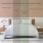 Luxury Cotton & Silk Duvet Cover Set - Queen