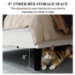 Velvet Full Size Bed Frame with Wingback Headboard