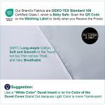 Luxury Cotton & Silk Duvet Cover Set - Queen