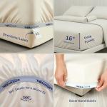 Egyptian Cotton King 6-Piece Sheet Set - Dove