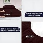 Egyptian Cotton Queen Sheet Set - 600 Thread Count