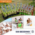 Egyptian Cotton Queen Sheet Set - 600 Thread Count