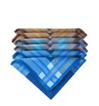 Cotton Handkerchiefs 6-Piece Set for Men