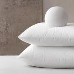 MIULEE 18x18 Pillow Inserts Set of 2, Square Decorative Throw Pillows Premium Fluffy Pillow Stuffer for Living Room Sofa Couch Bed