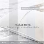 Kienna Lightweight Quilt Set with Matching Sham