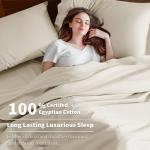 Cotton Queen Size Sheet Set - 600 Thread Count