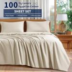 Cotton Queen Size Sheet Set - 600 Thread Count