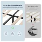 Stylish Black Queen Velvet Bed Frame with Headboard