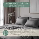 CASILVA Eucalyptus Sheets - Infused with Silver for Anti-Odor, Softer Than Silk Fibers, More Cooling Than Cotton - Perfect for Hot Sleepers & Sensitive Skin - 100% Tencel Lyocell - Queen Sheet Set