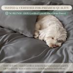 CASILVA Eucalyptus Sheets - Infused with Silver for Anti-Odor, Softer Than Silk Fibers, More Cooling Than Cotton - Perfect for Hot Sleepers & Sensitive Skin - 100% Tencel Lyocell - Queen Sheet Set