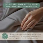 CASILVA Eucalyptus Sheets - Infused with Silver for Anti-Odor, Softer Than Silk Fibers, More Cooling Than Cotton - Perfect for Hot Sleepers & Sensitive Skin - 100% Tencel Lyocell - Queen Sheet Set