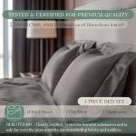CASILVA Eucalyptus Sheets - Infused with Silver for Anti-Odor, Softer Than Silk Fibers, More Cooling Than Cotton - Perfect for Hot Sleepers & Sensitive Skin - 100% Tencel Lyocell - Queen Sheet Set