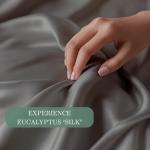 CASILVA Eucalyptus Sheets - Infused with Silver for Anti-Odor, Softer Than Silk Fibers, More Cooling Than Cotton - Perfect for Hot Sleepers & Sensitive Skin - 100% Tencel Lyocell - Queen Sheet Set
