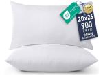 White Throw Pillows (Pack of 2) 20 x 26 Inches