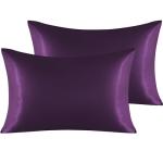 NTBAY 2 Pack Satin Queen Pillowcases for Hair and Skin, Luxurious and Silky Pillow Cases with Envelope Closure, 20x30 Inches, Eggplant Purple