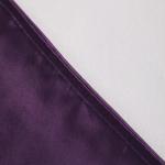 NTBAY 2 Pack Satin Queen Pillowcases for Hair and Skin, Luxurious and Silky Pillow Cases with Envelope Closure, 20x30 Inches, Eggplant Purple