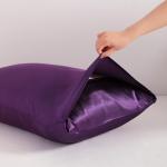 NTBAY 2 Pack Satin Queen Pillowcases for Hair and Skin, Luxurious and Silky Pillow Cases with Envelope Closure, 20x30 Inches, Eggplant Purple