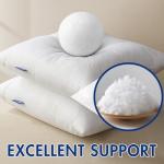 12x20 Inch Premium Fluffy Throw Pillow Insert