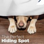 Martex Queen Size 21” Bed Skirt | Pleated Bed Skirt | Easy Fit Bed Skirts | Microfiber Bed Skirt | 21 Inch Drop | Hotel Quality Bedskirt | White