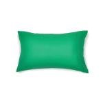 Amazon Basics 5 Piece Soft Microfiber Kid's Bed-in-a-Bag Bedding Set, Twin, Green, Solid