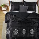 Lanest Housing Twin Size Satin Comforter Set Black, 2 Pieces Soft and Lightweight Silk Bedding, All Season Fluffy Down Alternative Comforter Bed Set