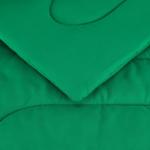 Amazon Basics 5 Piece Soft Microfiber Kid's Bed-in-a-Bag Bedding Set, Twin, Green, Solid