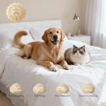 TWK 1200 Thread Count 100% Egyptian Cotton Sheets Bed Set,Thickness,Long-Lasting Durability,Resists Pilling,Deep Pocket Up to 18",with a Laundry Bag (White, King)