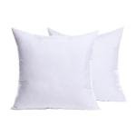 MIULEE Set of 2 Square Pillow Inserts 18x18