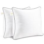 Yettbea 18'' x 18'' Decorative Throw Pillows - Set of 2