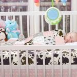 Hahafelt 3 Piece Patchwork Western Crib Bedding Set for Boys Girls Cow Cactus Print Baby Bedding Barnyard Western Nursery Decor Soft Baby Bed Set Includes Quilt Fitted Crib Sheet Bed Skirt (Cowgirls)