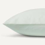 Amazon Basics 100% Organic Cotton Kids' Sheet Set with Pillowcase, Queen, Pale Sage Green Fox