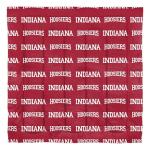 Northwest NCAA Indiana Hoosiers Unisex-Adult Bed in a Bag Set, Queen, Rotary