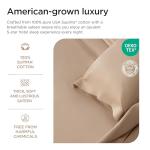 Supima Cotton 1000 Thread Count Queen Sheet Set