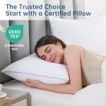 JOLLYVOGUE Set of 2 Pillows for Cozy Sleep