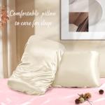 Manyshofu Satin Pillowcases for Hair Protection - 1Pcs Beige Pillow Cases, Elastic Band Standard & Queen Satin Pillowcases Luxury Silky Pillow Cases Travel Pillow Covers