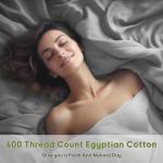 Luxury 100% Egyptian Cotton King Sheet Set
