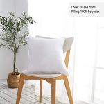 Set of 2 Cotton Throw Pillow Inserts