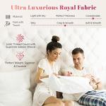 Ashton Twin XL Egyptian Cotton Fitted Sheet Set